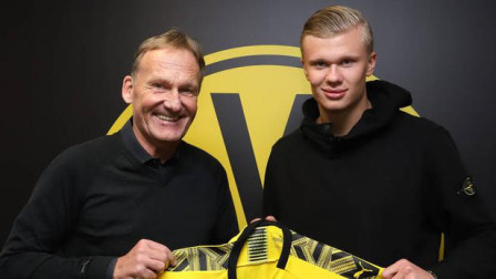 是看防守回 是看防守回