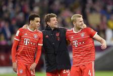 香港明星足 香港明星足